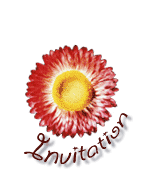 Wedding Invitation Card